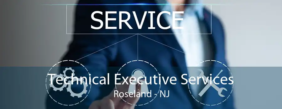 Technical Executive Services Roseland - NJ