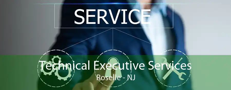 Technical Executive Services Roselle - NJ