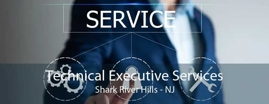 Technical Executive Services Shark River Hills - NJ