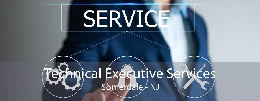 Technical Executive Services Somerdale - NJ