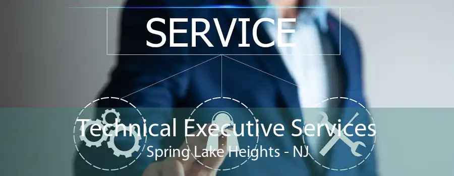 Technical Executive Services Spring Lake Heights - NJ