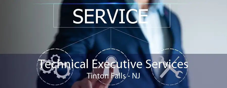 Technical Executive Services Tinton Falls - NJ