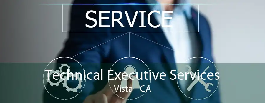 Technical Executive Services Vista - CA