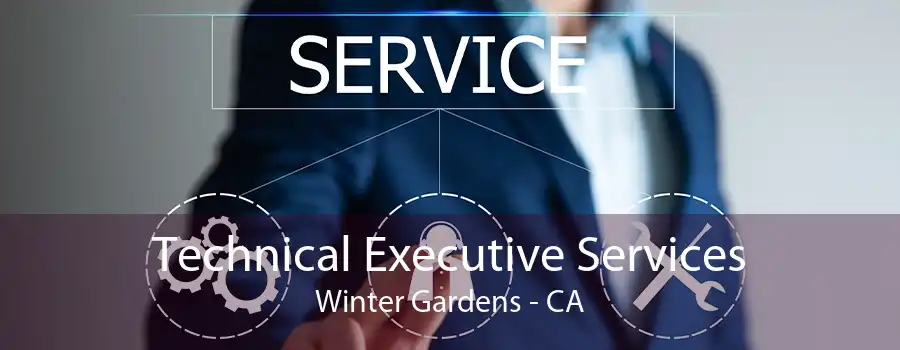 Technical Executive Services Winter Gardens - CA