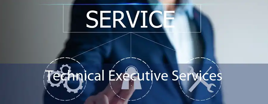 Technical Executive Services 