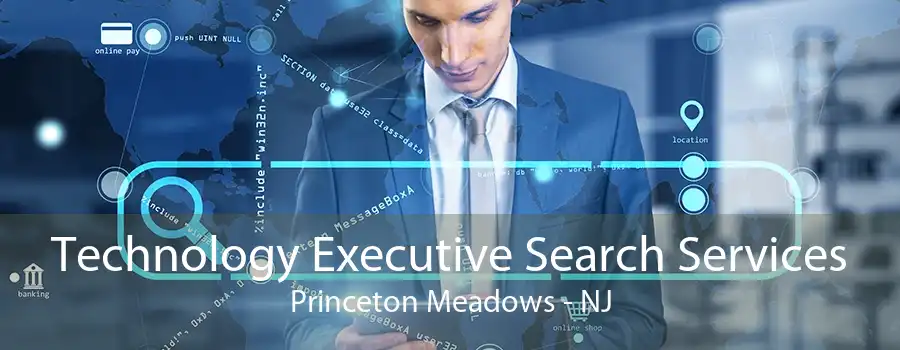 Technology Executive Search Services Princeton Meadows - NJ