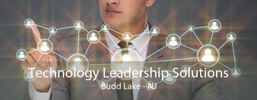 Technology Leadership Solutions Budd Lake - NJ