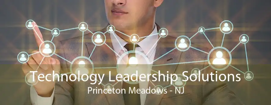 Technology Leadership Solutions Princeton Meadows - NJ