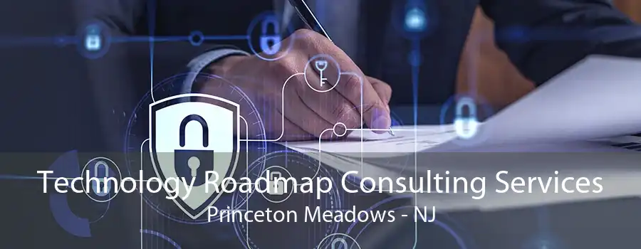 Technology Roadmap Consulting Services Princeton Meadows - NJ