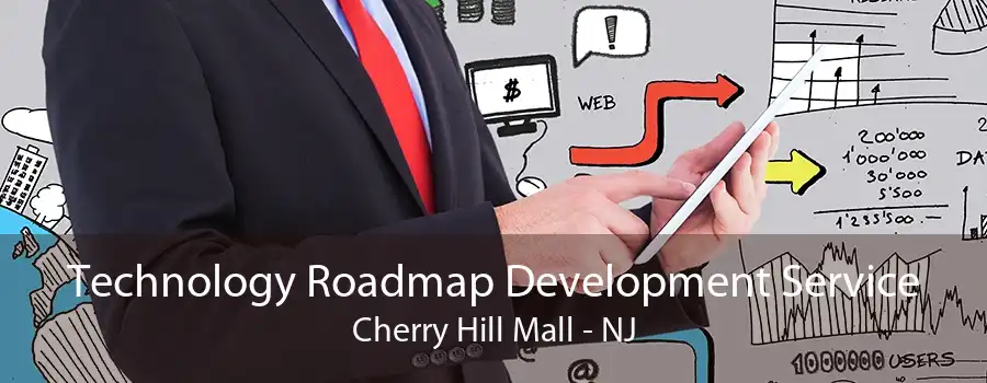 Technology Roadmap Development Service Cherry Hill Mall - NJ