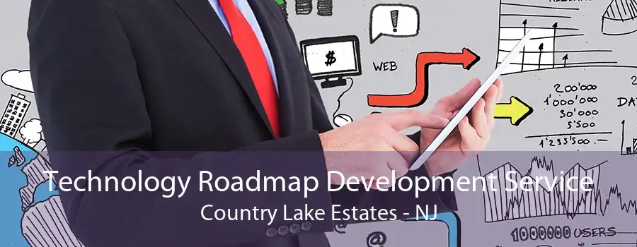 Technology Roadmap Development Service Country Lake Estates - NJ