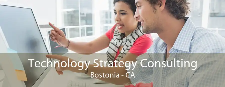 Technology Strategy Consulting Bostonia - CA