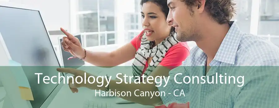 Technology Strategy Consulting Harbison Canyon - CA