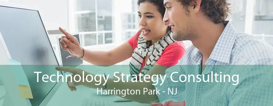 Technology Strategy Consulting Harrington Park - NJ
