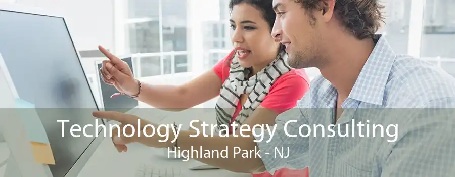 Technology Strategy Consulting Highland Park - NJ