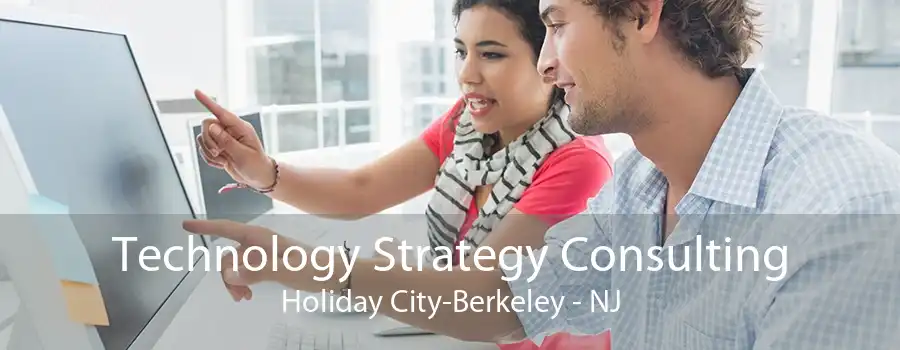 Technology Strategy Consulting Holiday City-Berkeley - NJ