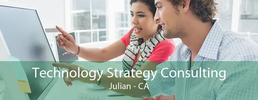 Technology Strategy Consulting Julian - CA