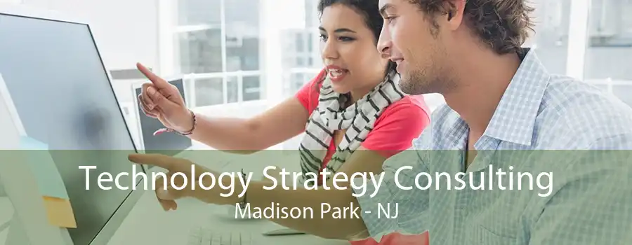 Technology Strategy Consulting Madison Park - NJ