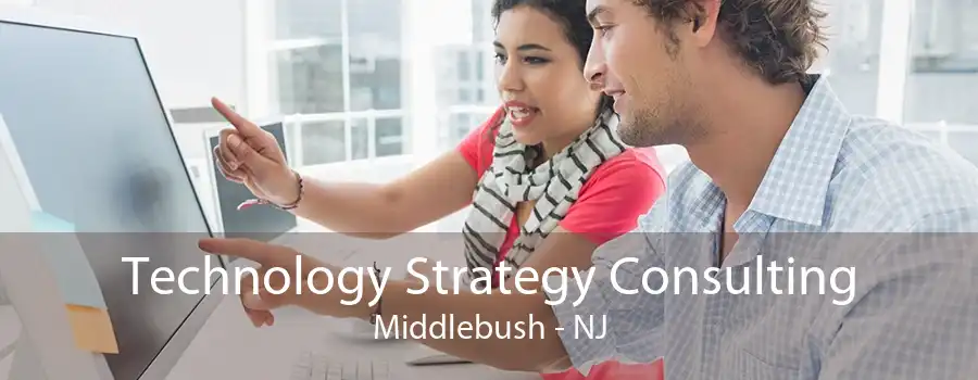 Technology Strategy Consulting Middlebush - NJ