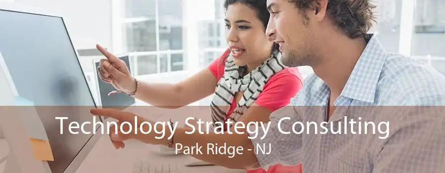 Technology Strategy Consulting Park Ridge - NJ