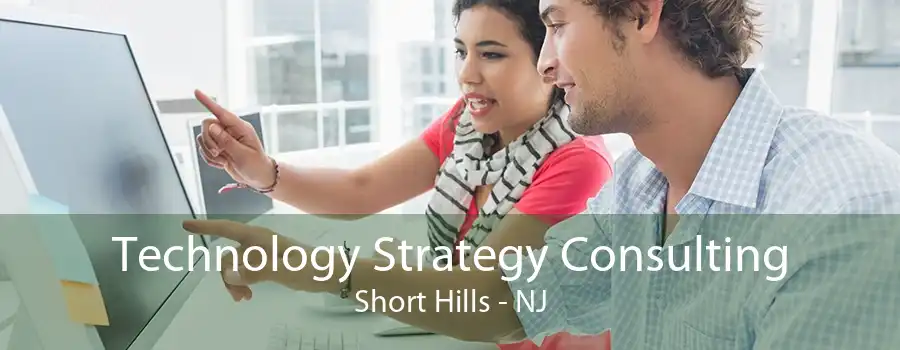 Technology Strategy Consulting Short Hills - NJ