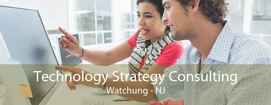 Technology Strategy Consulting Watchung - NJ