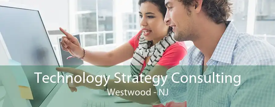 Technology Strategy Consulting Westwood - NJ