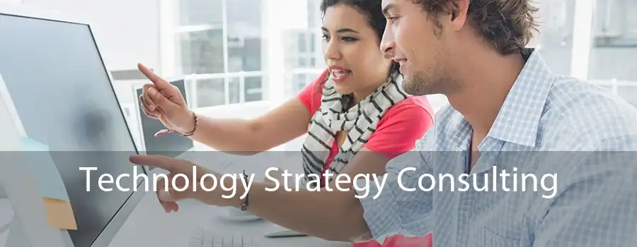 Technology Strategy Consulting 