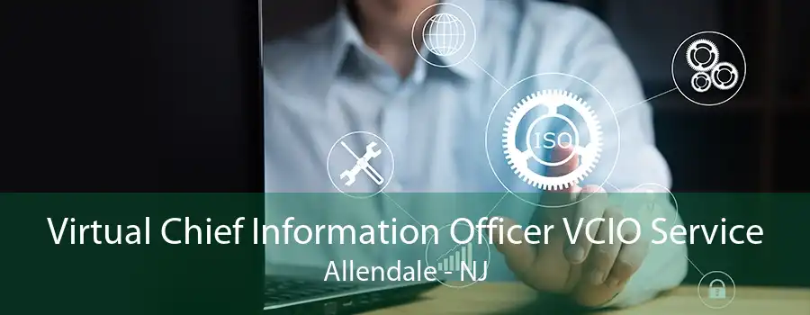 Virtual Chief Information Officer VCIO Service Allendale - NJ