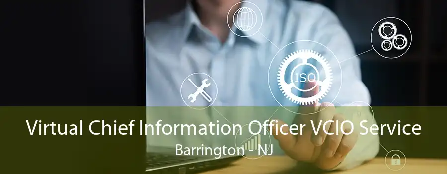 Virtual Chief Information Officer VCIO Service Barrington - NJ