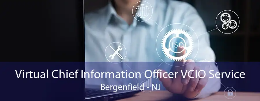 Virtual Chief Information Officer VCIO Service Bergenfield - NJ