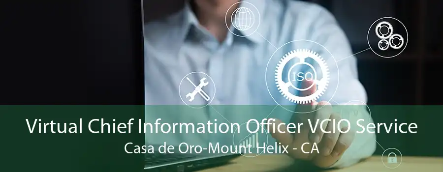 Virtual Chief Information Officer VCIO Service Casa de Oro-Mount Helix - CA