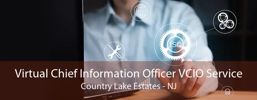 Virtual Chief Information Officer VCIO Service Country Lake Estates - NJ