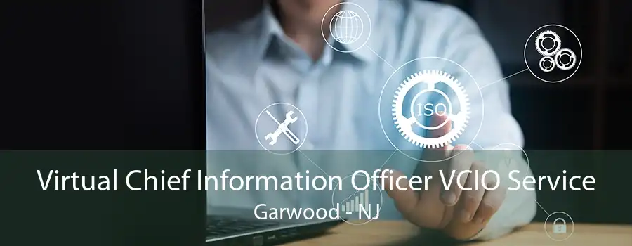 Virtual Chief Information Officer VCIO Service Garwood - NJ