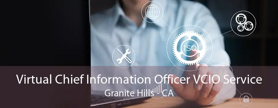 Virtual Chief Information Officer VCIO Service Granite Hills - CA