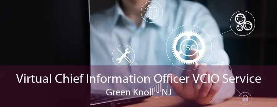 Virtual Chief Information Officer VCIO Service Green Knoll - NJ