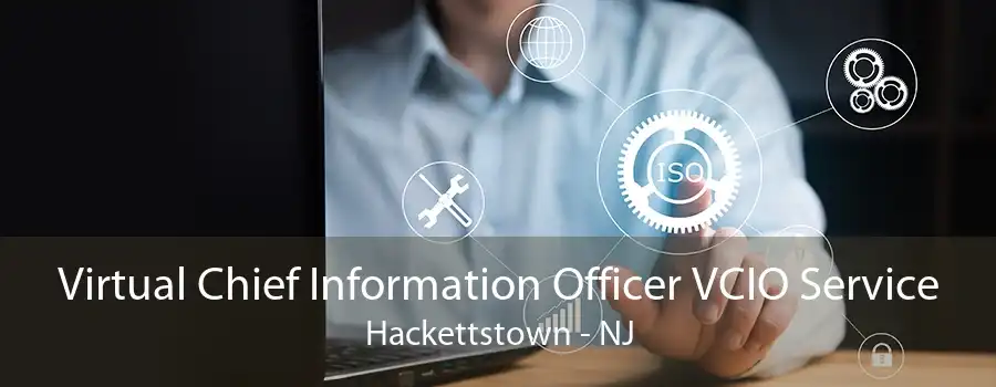 Virtual Chief Information Officer VCIO Service Hackettstown - NJ