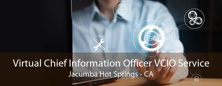 Virtual Chief Information Officer VCIO Service Jacumba Hot Springs - CA