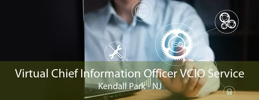 Virtual Chief Information Officer VCIO Service Kendall Park - NJ