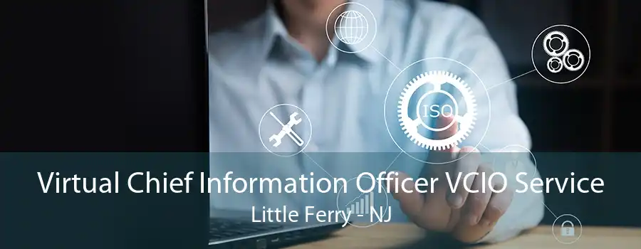 Virtual Chief Information Officer VCIO Service Little Ferry - NJ