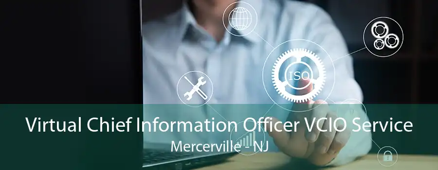 Virtual Chief Information Officer VCIO Service Mercerville - NJ