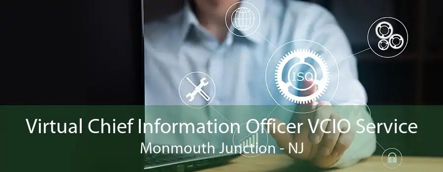 Virtual Chief Information Officer VCIO Service Monmouth Junction - NJ