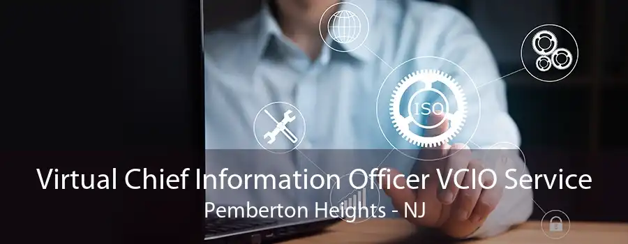 Virtual Chief Information Officer VCIO Service Pemberton Heights - NJ