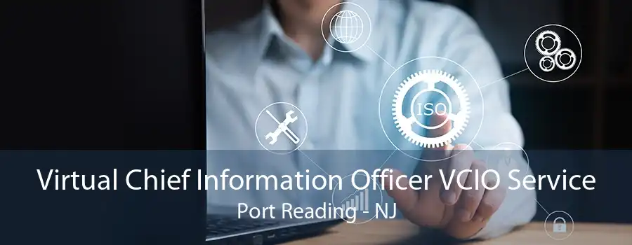 Virtual Chief Information Officer VCIO Service Port Reading - NJ