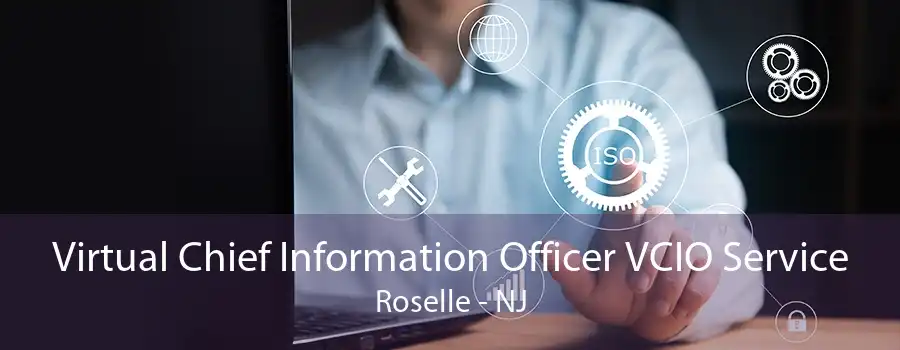 Virtual Chief Information Officer VCIO Service Roselle - NJ
