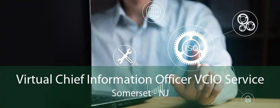 Virtual Chief Information Officer VCIO Service Somerset - NJ