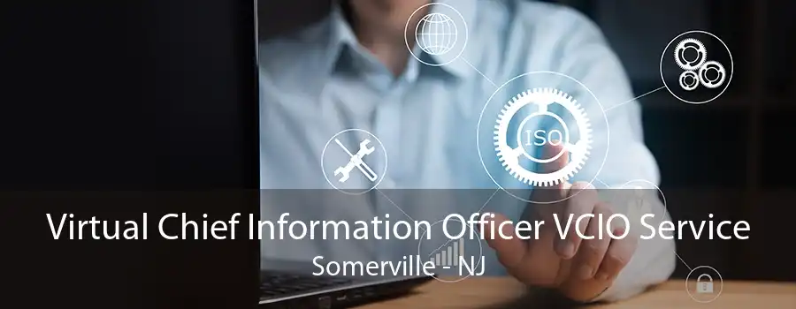 Virtual Chief Information Officer VCIO Service Somerville - NJ