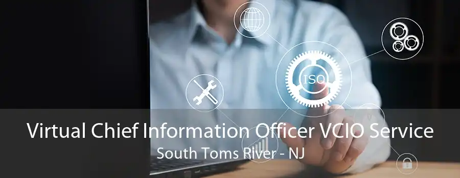 Virtual Chief Information Officer VCIO Service South Toms River - NJ