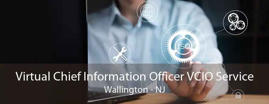 Virtual Chief Information Officer VCIO Service Wallington - NJ