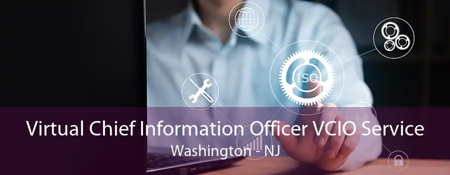 Virtual Chief Information Officer VCIO Service Washington - NJ